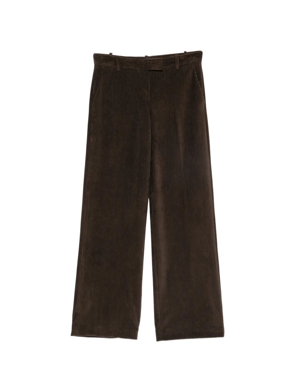 10102026_000.jpg CIRCOLO 1901 Pantalone Masculine Brown